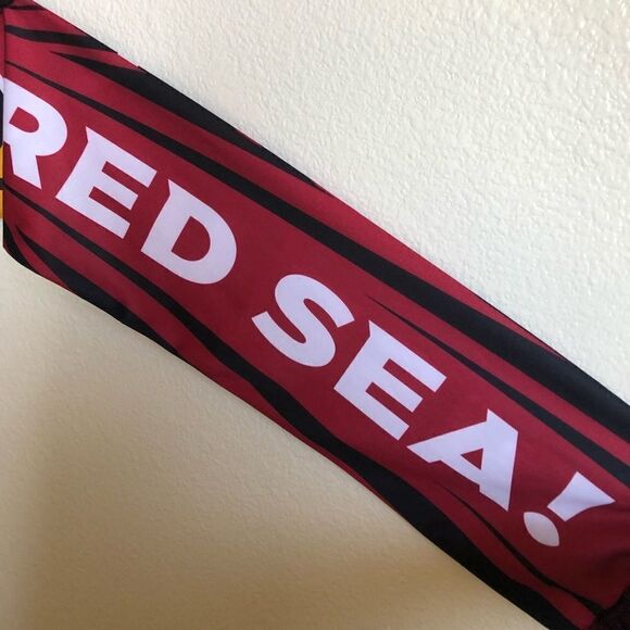 Arizona Cardinals Rise Up Red Sea Scarf - Picture 4 of 5